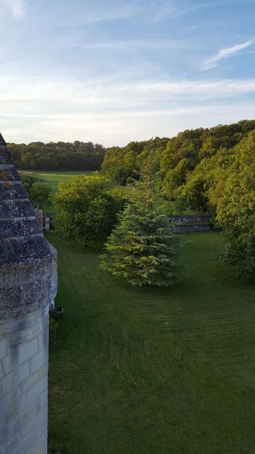 Chateau De Re Le Petit-Pressigny 외부 사진