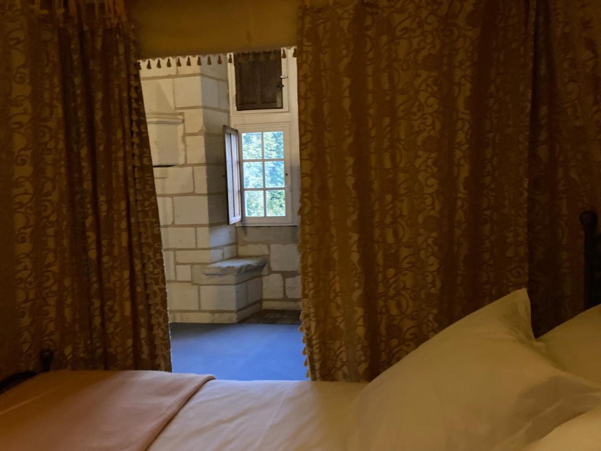 Chateau De Re Le Petit-Pressigny 외부 사진